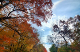 五十公里桃花坞——赏枫除了北海道，在湖南也有秋景如画的赏枫地点